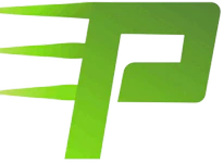 PlayDash logo mini